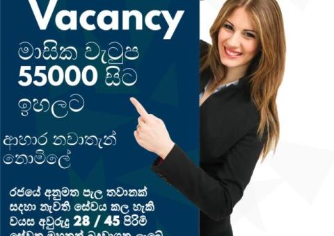 Job Vacancy