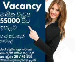 Job Vacancy
