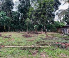 Land For Sale - 3/3