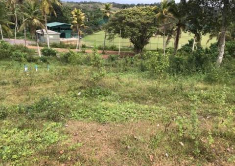 Land For Sale
