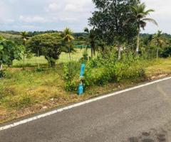 Land For Sale - 2/4