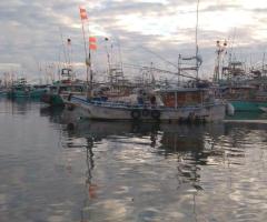 Boat For Sale - 4/5