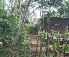 House For Sale - 2/4
