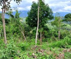 Land For Sale - 1/5