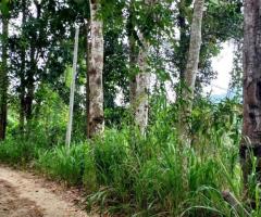 Land For Sale - 2/5