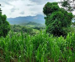 Land For Sale - 3/5