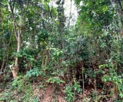 Land For Sale - 4/5