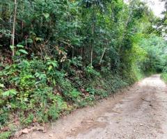 Land For Sale - 5/5