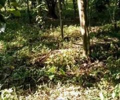 Land For Sale - 4/5