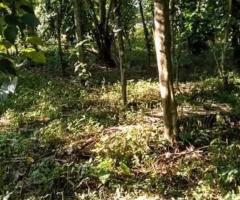 Land For Sale - 5/5