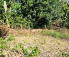Land For Sale - 2/5