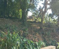 Land For Sale - 2/5