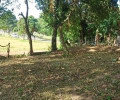 Land For Sale - 4/5