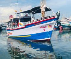 Boat For Sale - 2/3