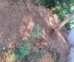 Land For Sale - 2/5