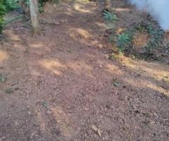 Land For Sale - 4/5