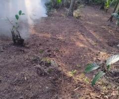 Land For Sale - 5/5