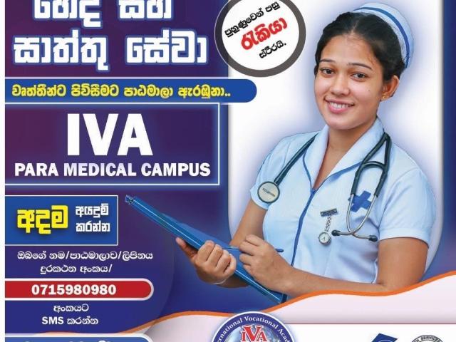NURSING, CAREGIVER & MLT ASSISTANT COURSES - 1/2
