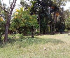 House For Sale - 3/5